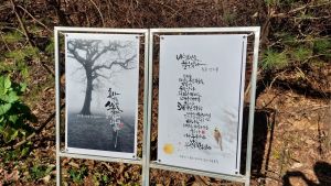 Aelyong20231108 013.jpg