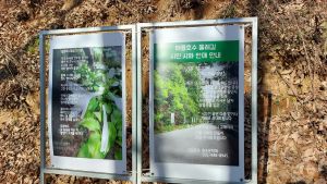 Aelyong20231108 014.jpg