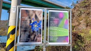 Aelyong20231108 002.jpg