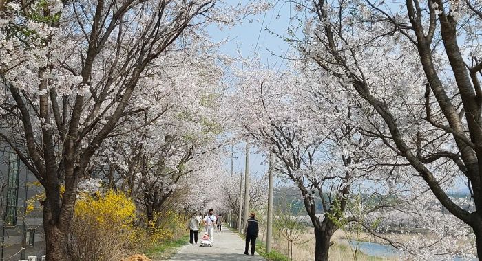 사진 여영숙