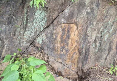 부곡리 입구, 바스라지는 민초의 어버이를 마주하다-심언섭