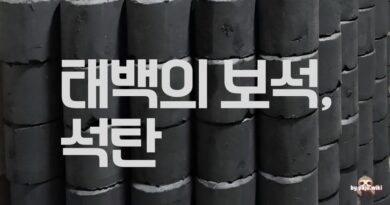 태백의 검은 보석, 석탄-강근숙