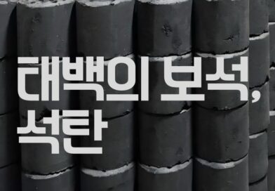 태백의 검은 보석, 석탄-강근숙