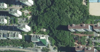 동산과 공원 – 김태회