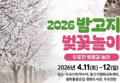 올해도 밤고지에서 벚꽃과 함께 하세요