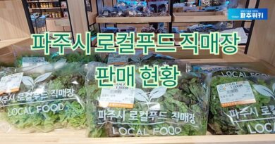 2025년 파주시 로컬푸드 매출현황 분석