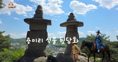 용미리 석불 뒷담화 – 이기상