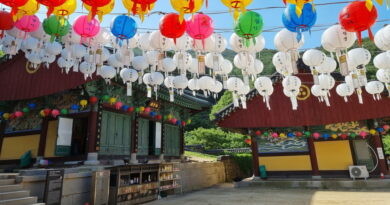 부처님오신날, 연휴를 보내며 – 임인정