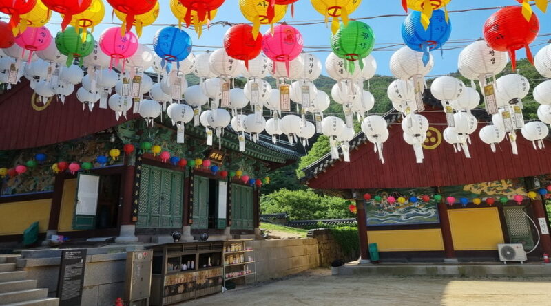 부처님오신날, 연휴를 보내며 – 임인정