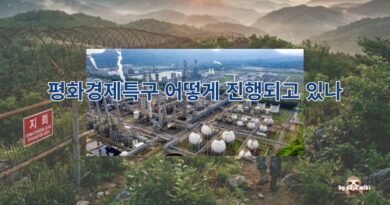평화경제특구 어떻게 진행되고 있나
