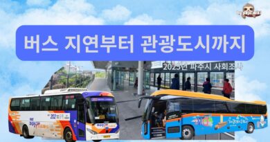 버스는 늦고 일자리는 없다 — 2025년 파주시 사회조사, 그 나머지 이야기[4편]